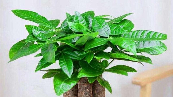 現(xiàn)代辦公室裝修，需要滿足哪些點？